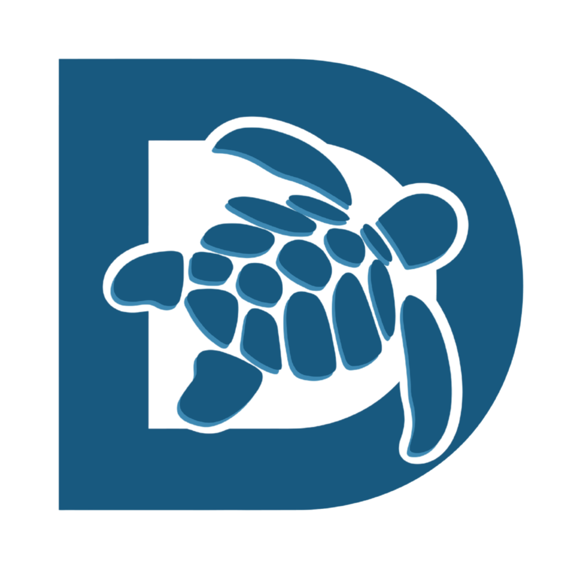 Dancing Turtle